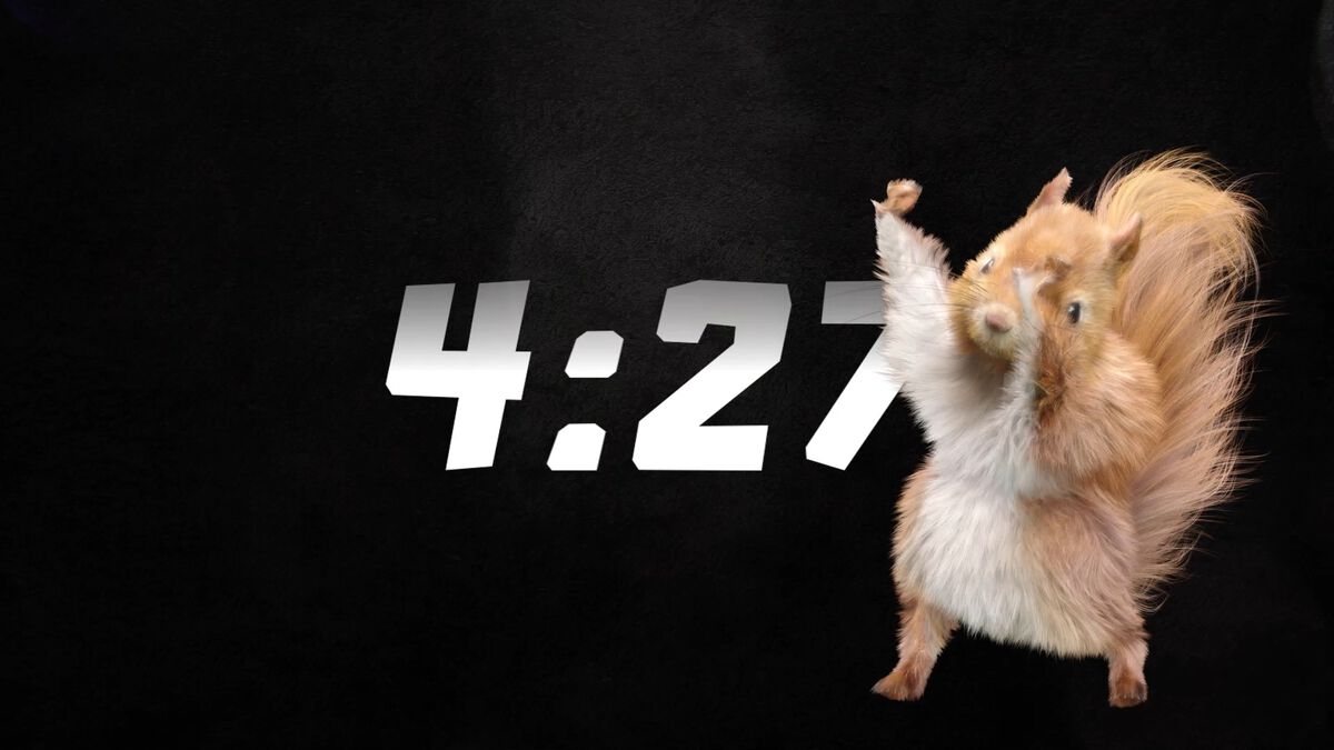 Dancing Squirrels 5-Minute Countdown image number 1